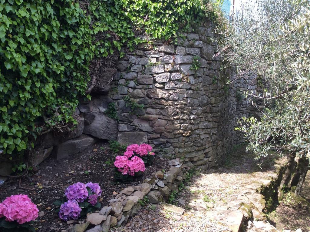 Casa Vacanze Ada Fiesole Esterno foto